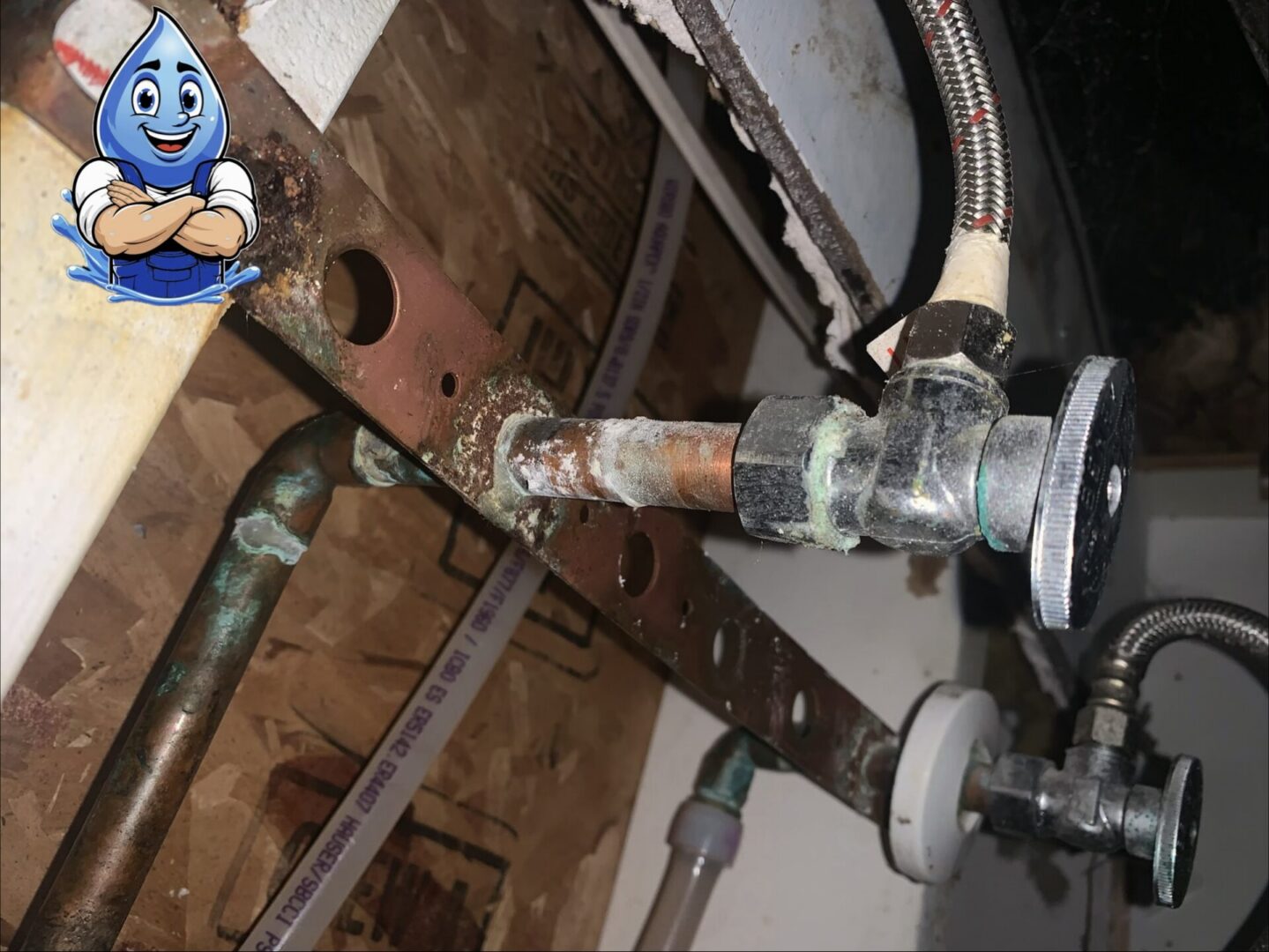Corroded angle stop valve in Murrieta CA